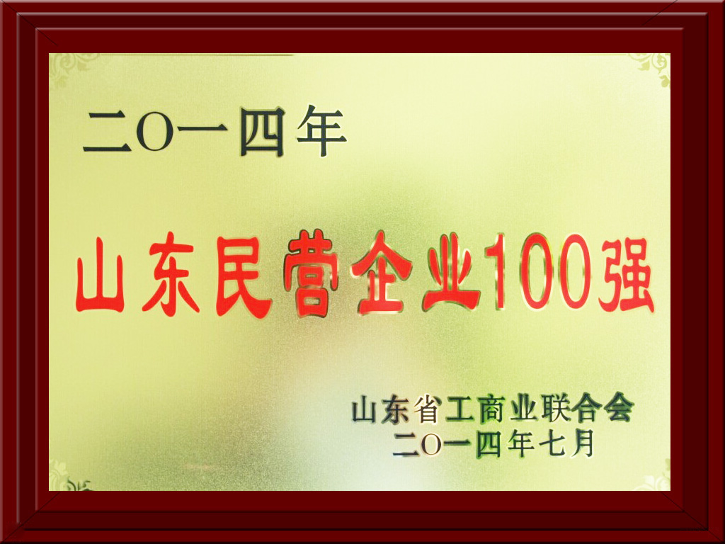 2014.07.09民营企业100强